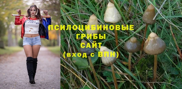 apvp Алексеевка