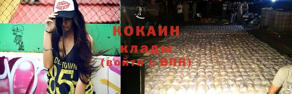 молекула духа Алзамай