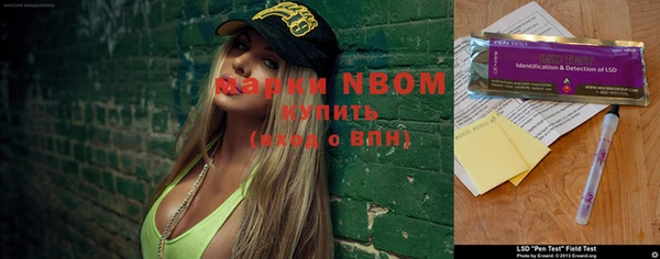 молекула духа Алзамай