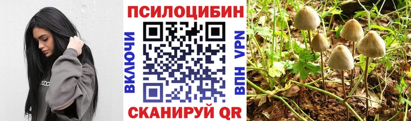 Галлюциногенные грибы Psilocybe  Сибай 