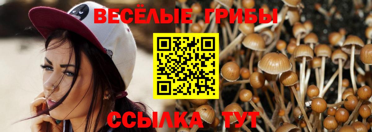 Галлюциногенные грибы ЛСД  Вход с VPN  Сибай 